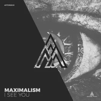 I See You by Maximalism