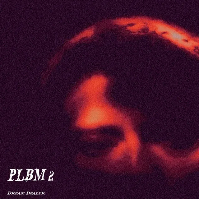 PLBM 2