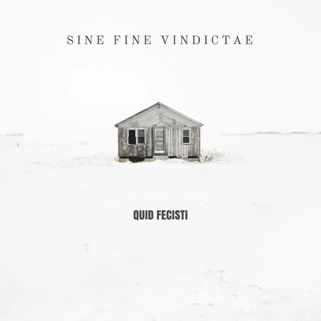 Sine fine vindictae