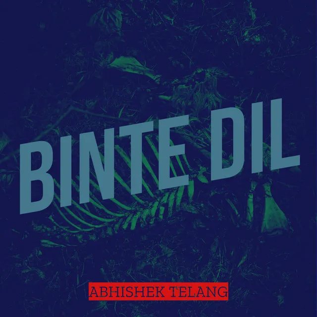 Binte Dil