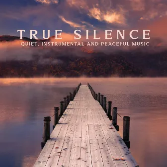 True Silence: Quiet, Instrumental and Peaceful Music - Study Music, Meditation & Sleep Music, Stress Relief, Nature Relaxing Sounds by Chakra Balancing 101