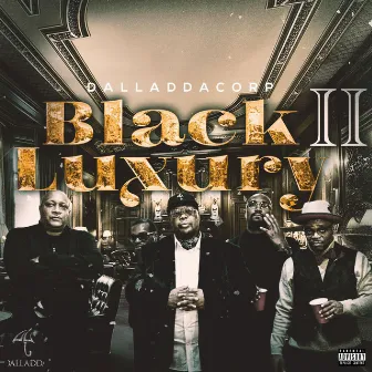 Black Luxury 2 by DalladdaCorp