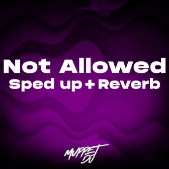 Not Allowed (Sped Up + Reverb) - Remix by Unknown Artist