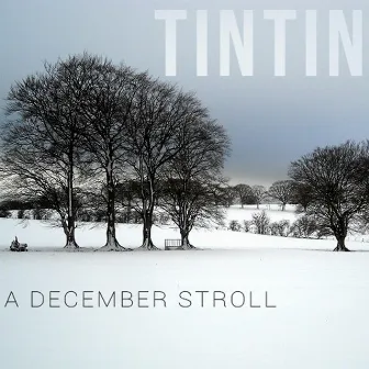 A December Stroll by Tintin