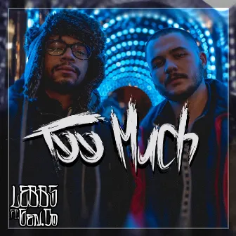 Too Much by Lebbs