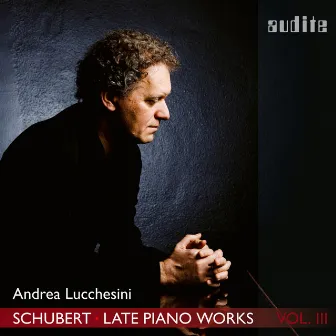 Schubert: Late Piano Works, Vol. 3 (Andrea Lucchesini plays Schubert's Piano Sonatas Nos. 18 & 19) by Andrea Lucchesini