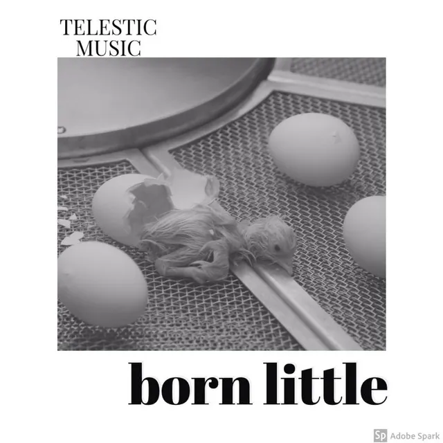 Born Little