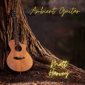 Ambient Guitar by Matt Harvey