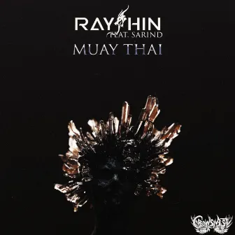 Muay Thai by RayJhin