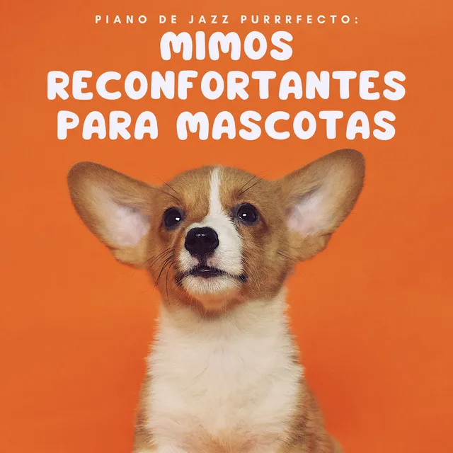 Piano De Jazz Purrrfecto: Mimos Reconfortantes Para Mascotas