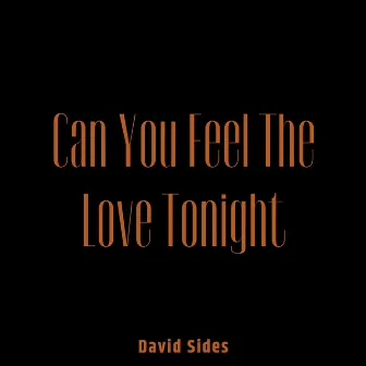 Can You Feel the Love Tonight by David Sides