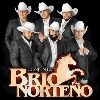 Adios Amor by Conjunto Brio Norteño