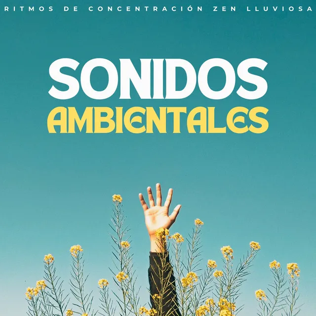 Sonidos Ambientales: Ritmos De Concentración Zen Lluviosa