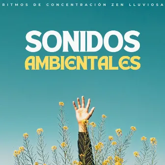 Sonidos Ambientales: Ritmos De Concentración Zen Lluviosa by Ayuda de concentración