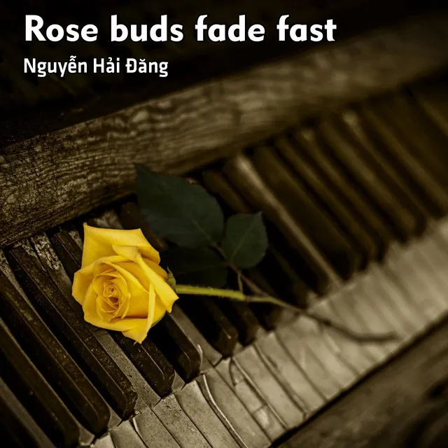 Rose buds fade fast