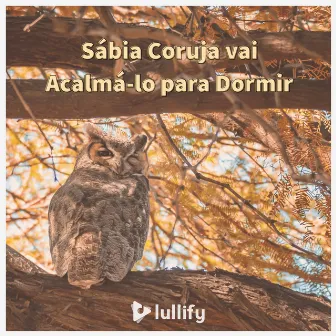 Sábia Coruja vai Acalmá-lo para Dormir by Lullify Português