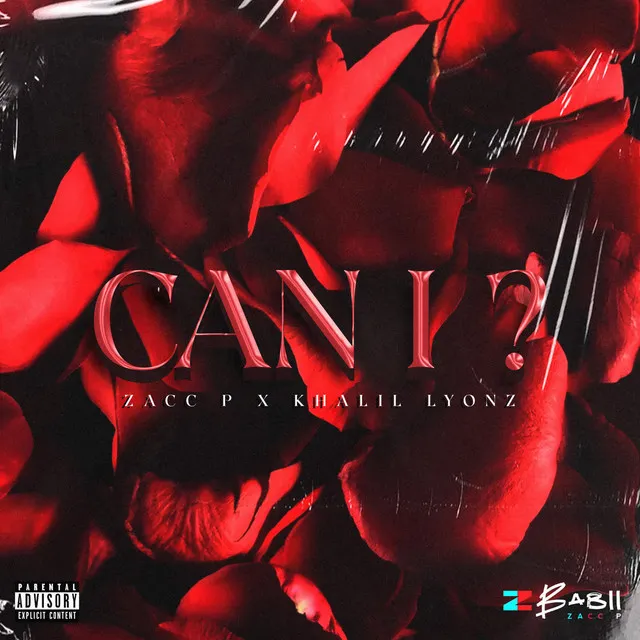 Can I?