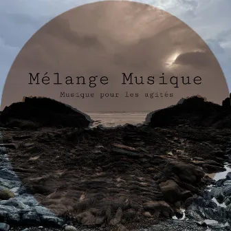 Satiedub by Mélange Musique