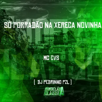 Só Porradão na Xereca Novinha by DJ Pedrinho PZL