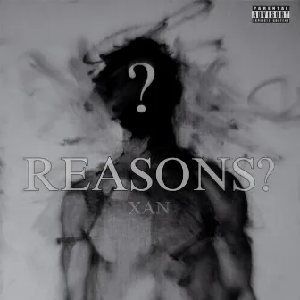 REASONS? by XAN