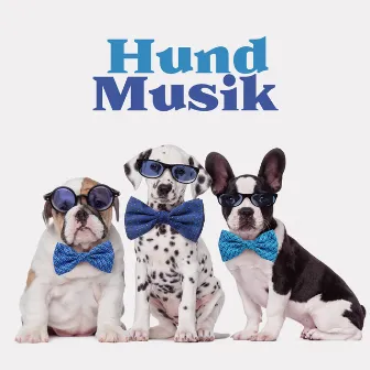 Hund Musik: Sovmusik för hundar, Musik för husdjur by Hundmusik oas