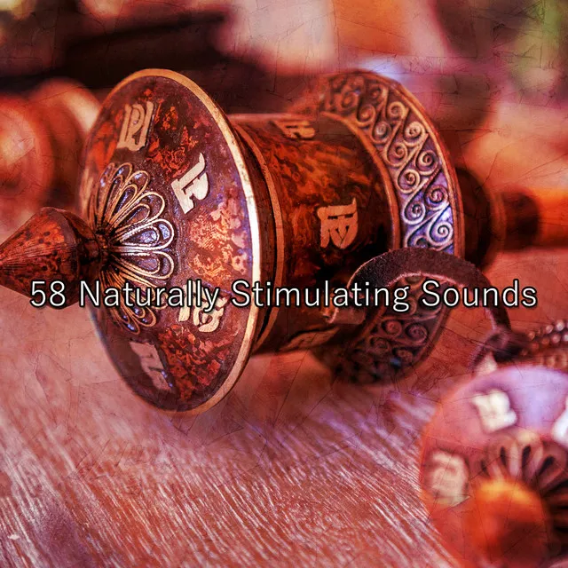 58 Naturally Stimulating Sounds