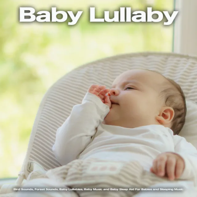 Baby Bedtime Lullaby