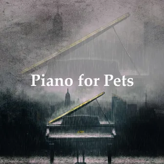 Piano for Pets by Piano Animal