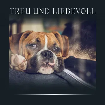 Treu und Liebevoll by Entspannende Musik für Hunde