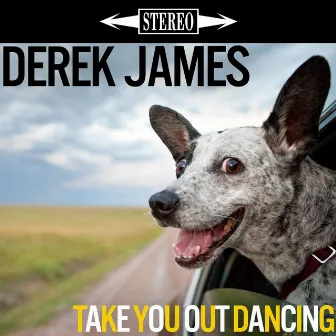 Take You Out Dancing by Derek James