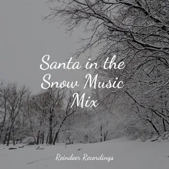 Santa in the Snow Music Mix by Unknown Artist