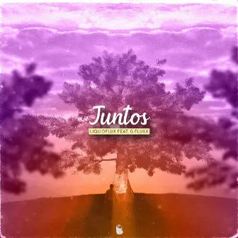 Juntos by LiquidFlux