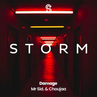 Damage by Mr. Sid