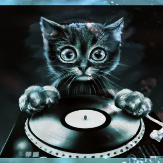 Famous Cat by DJ Kitten