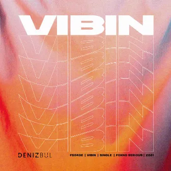 VIBIN by Deniz Bul