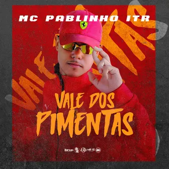 Vale dos Pimentas by Unknown Artist