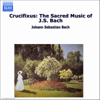 Crucifixus: The Sacred Music of J.S. Bach by Christian Brembeck