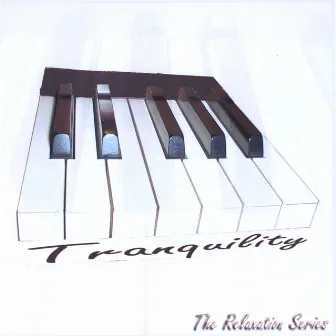 Beautiful New Age Piano Music: The Relaxation Series by Tranquility