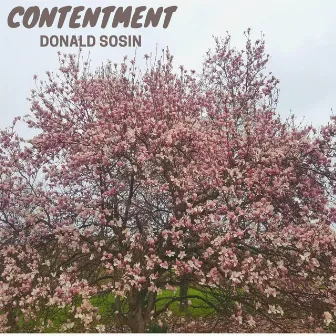 Contentment by Donald Sosin