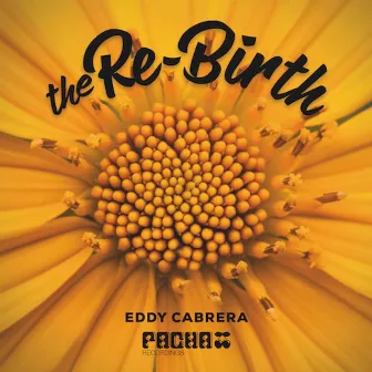 The Re-birth by Eddy Cabrera