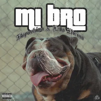 Mi Bro by Kapuchino