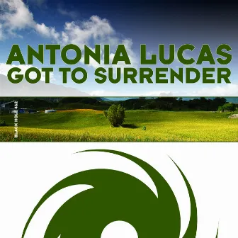 Got to Surrender by Antonia Lucas