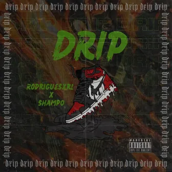 Drip by Shampo