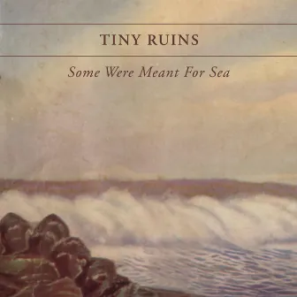 Some Were Meant for Sea by Tiny Ruins