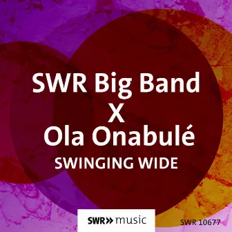 Swinging Wide by Ola Onabule