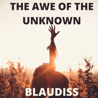 The Awe of The Unknown by BlauDisS