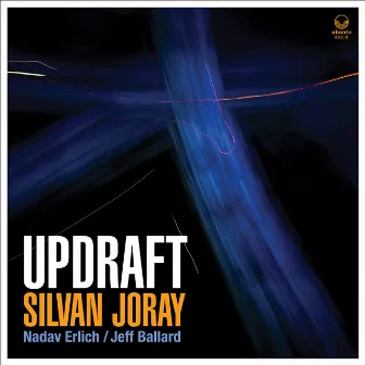 The Liar by Silvan Joray