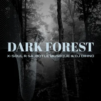 Dark Forest by Botle MusiiQue