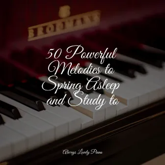 50 Powerful Melodies to Spring Asleep and Study to by Relaxaing Chillout Music