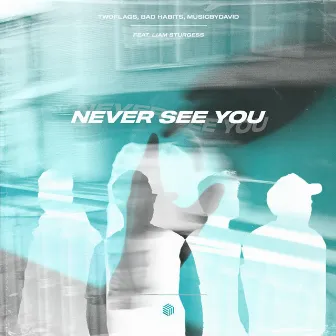 Never See You by Bad Habits